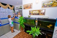 ������� - ����������� �� RCC-TRAVEL.RU